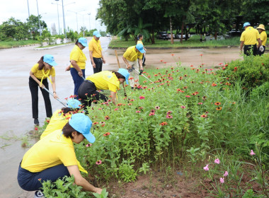กิจกรรมจิตอาสาบำเพ็ญสาธารณประโยชน์และบำเพ็ญสาธารณกุศลเฉลิมพระเกียรติสมเด็จพระนางเจ้าฯ พระบรมราชินี เนื่องในโอกาส วันเฉลิมพระชนมพรรษา 3 มิถุนายน 2568 ... พารามิเตอร์รูปภาพ 17
